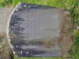 image of grave number 636236